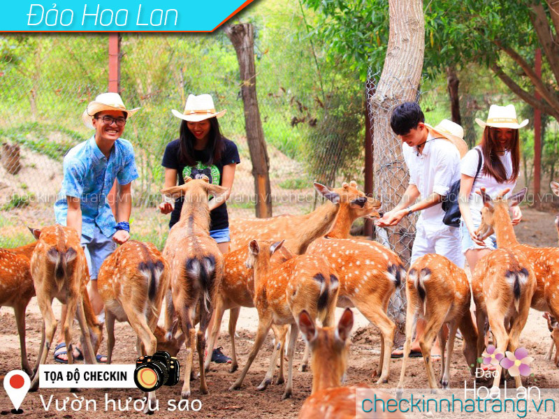 Vườn thú đảo Hoa Lan Nha Trang